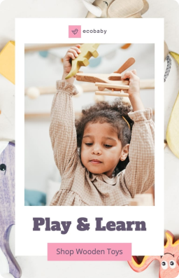 Play & Learn Promotion - Pinterest Pin Template