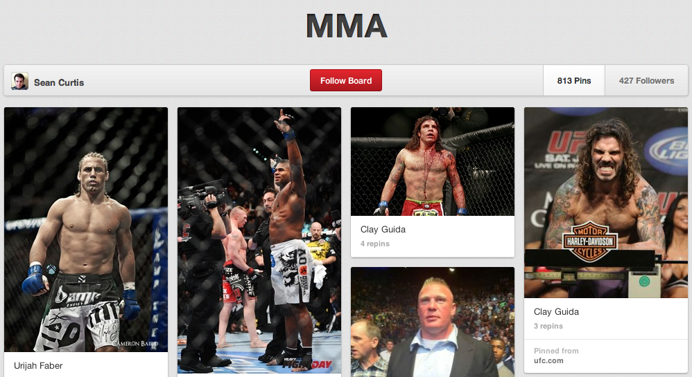 MMA is Manly. Pinterest is Manly.