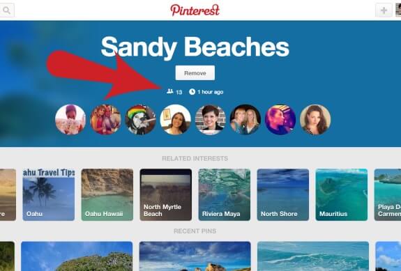 Sandy beaches interest group from Pin