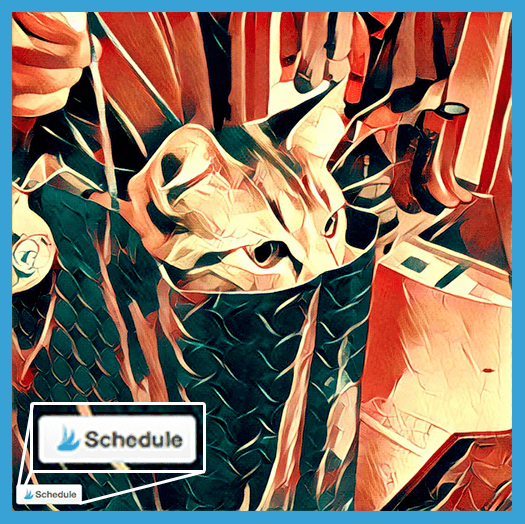 ig-post-sched-button