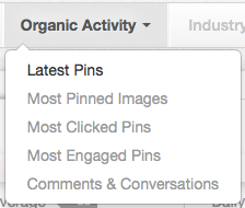 Breaking down organic Pinterest data in categories 