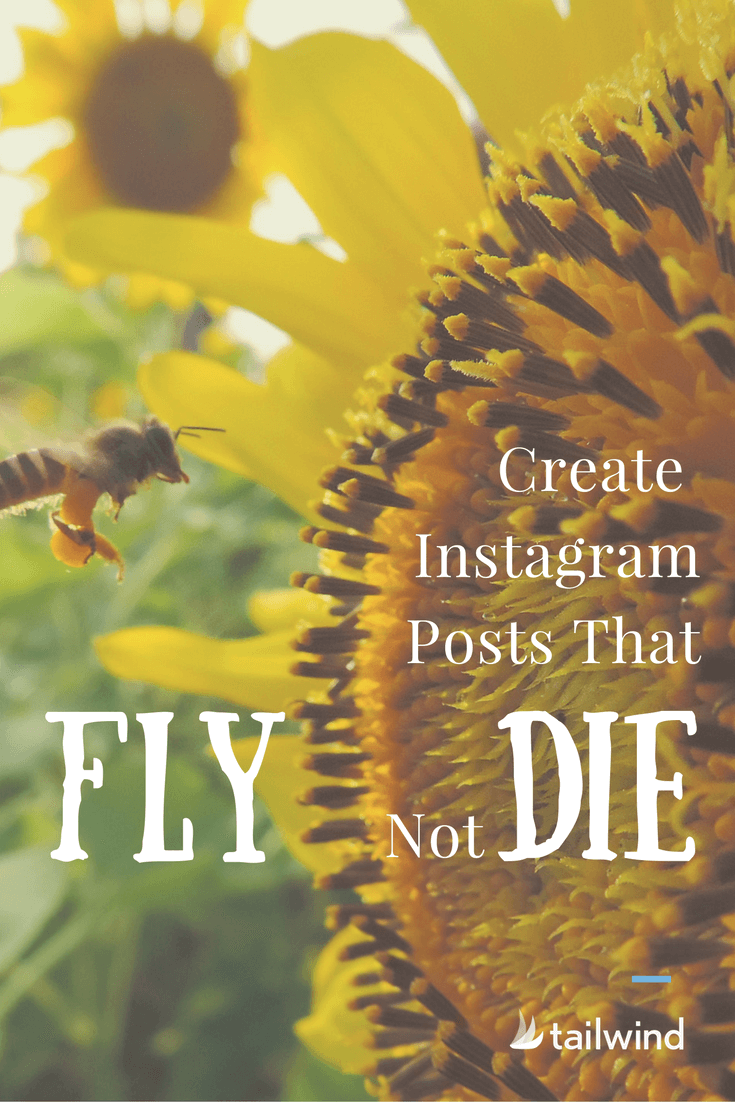 Create Instagram Posts That Fly With Likes Not Die Without Them PIN