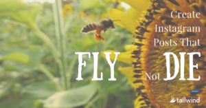 Create Instagram Posts That Fly With Likes Not Die Without Them IG