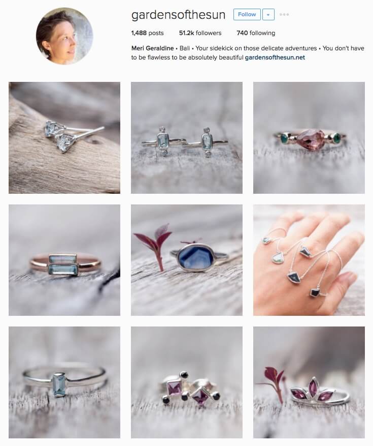 gardensofthesun-grew-by-19379-instagram-followers-in-three-months-a-66-percent-increase