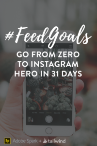 #FeedGoals Challenge: Go from Zero to Instagram Hero in 31 Days