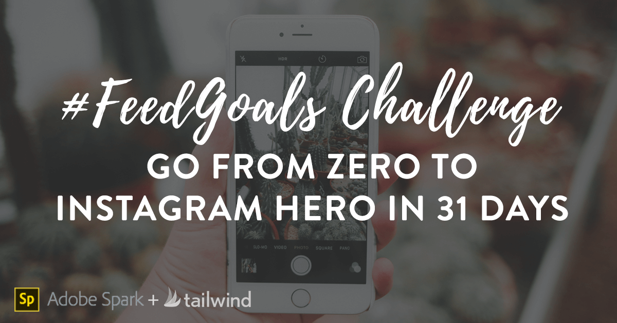 #FeedGoals Challenge: Go from Zero to Instagram Hero in 31 Days
