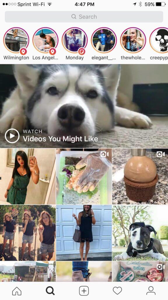 Instagram Search and Explore