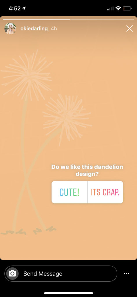 Poll questions on Instagram