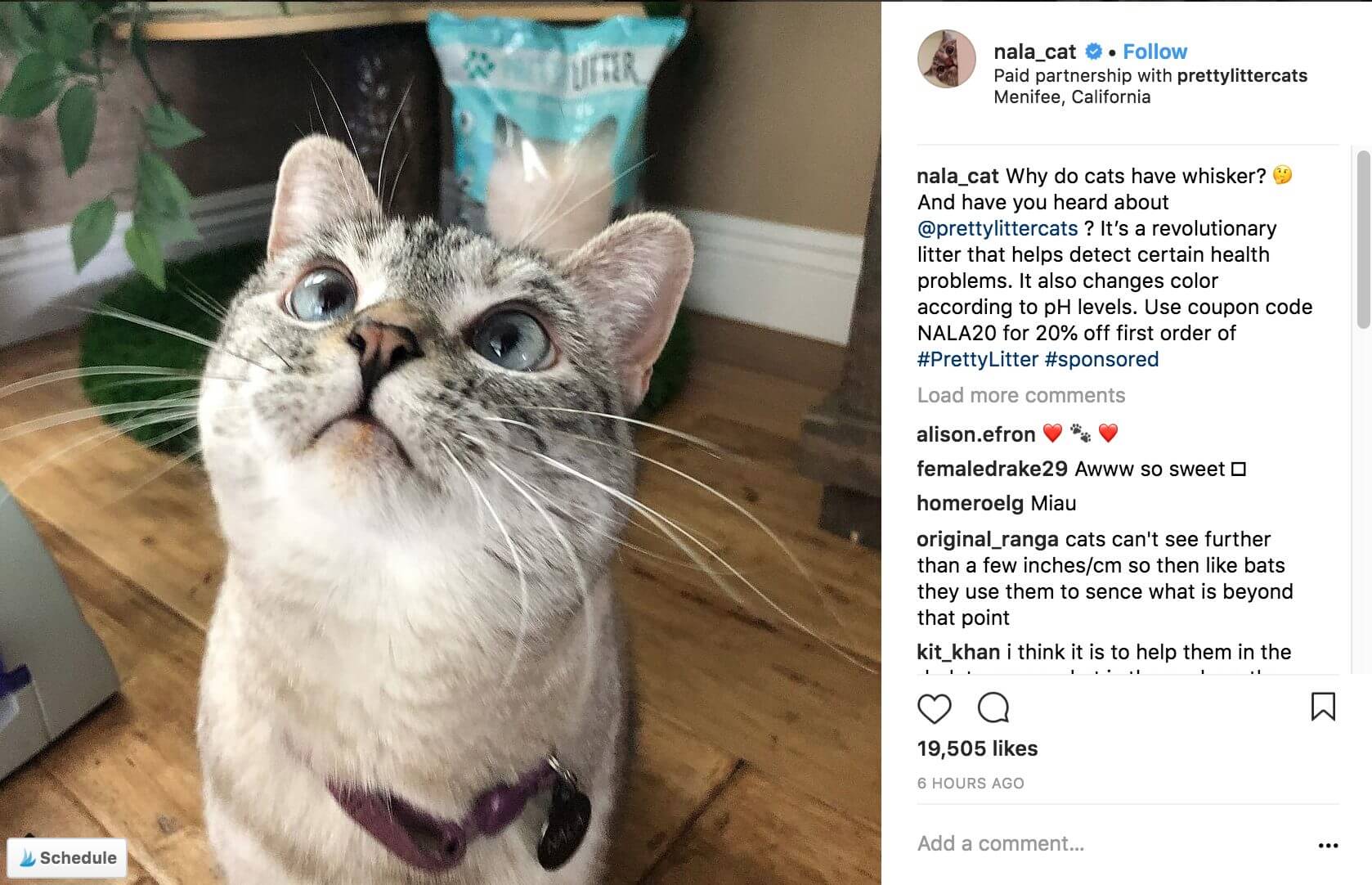 Influenceurs Instagram