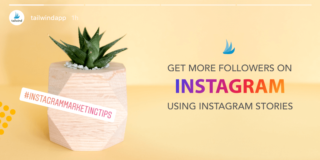 Image of succulent plant with the text: Get More Followers on Instagram Using Instagram Stories