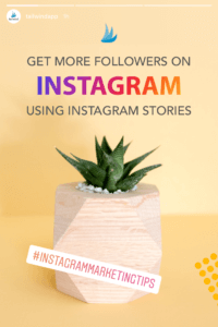 Image of succulent plant with the text: Get More Followers on Instagram Using Instagram Stories