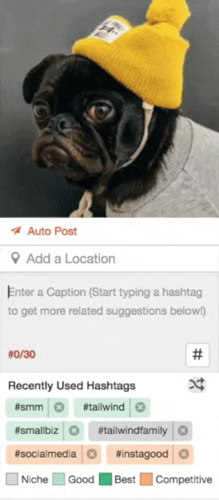 Gif of Tailwind for Instagram hashtag finder