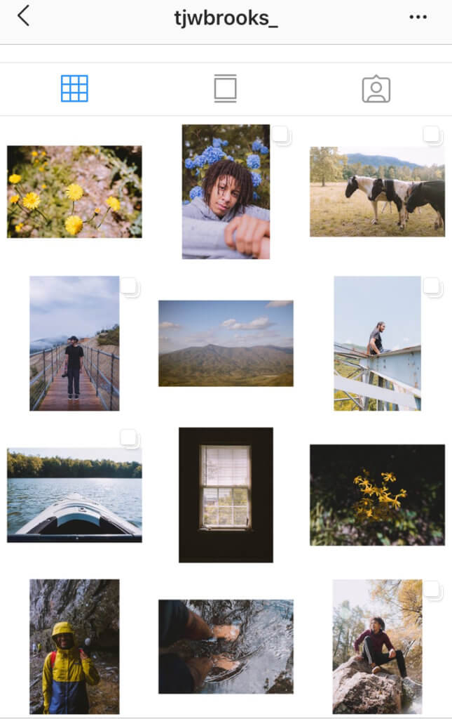 Best Instagram Theme Ideas In How To Create Them Tailwind App