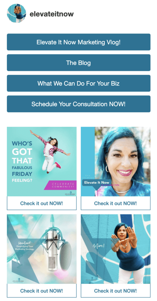 link in bio landing page with button links and posts