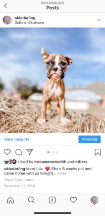 How to Edit Instagram Post After Posting | Tailwind App