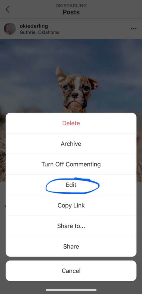 how to edit your Instagram caption - select edit from the drop down menu
