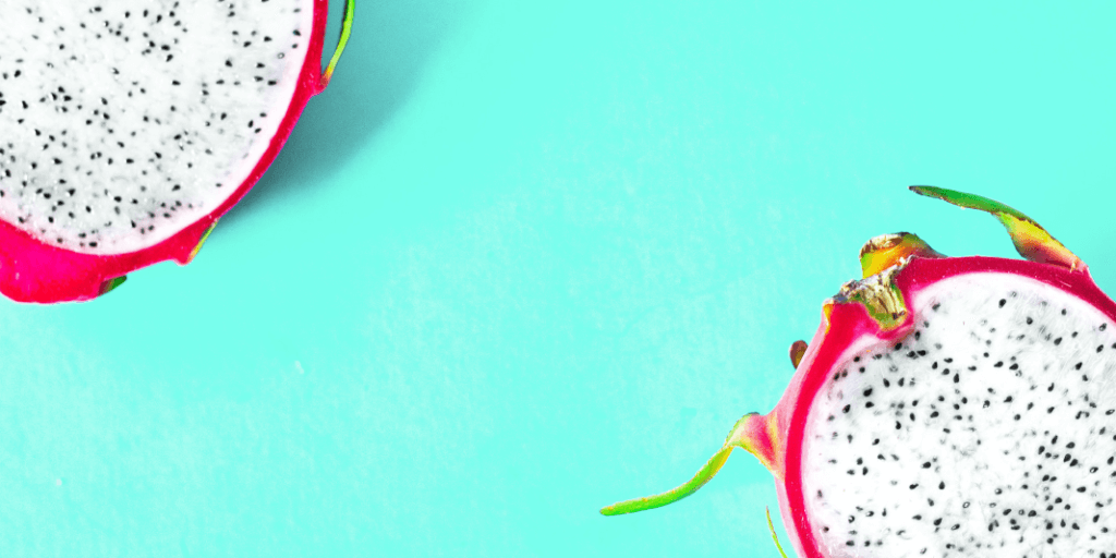 blog image header