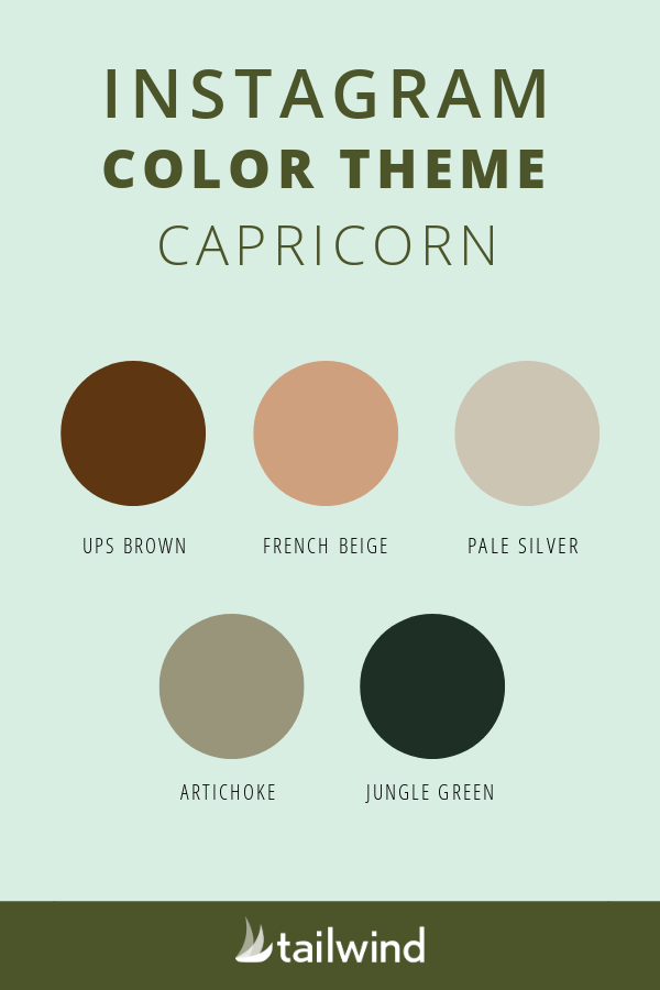 Capricorn color theme for Instagram
