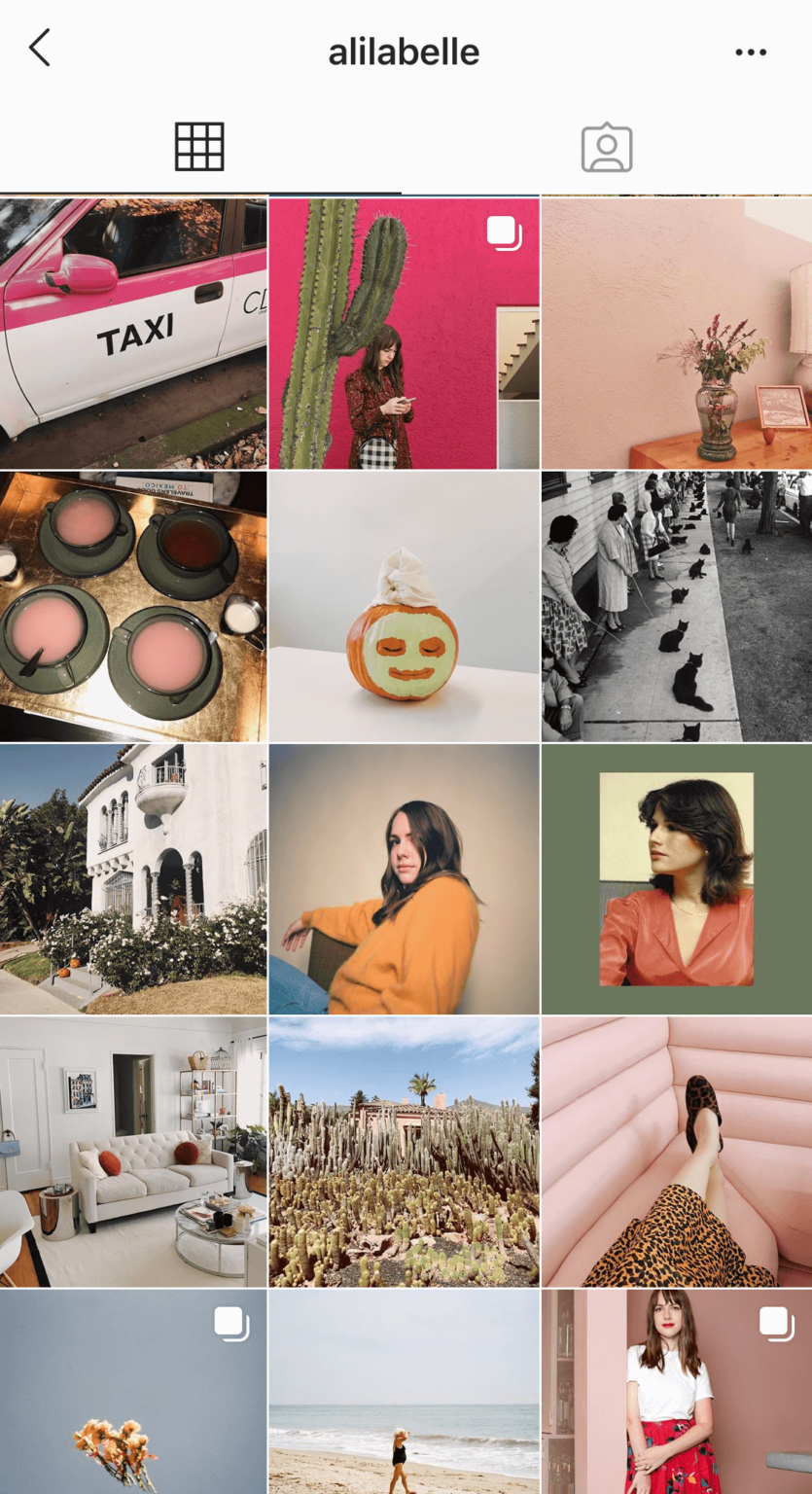How To Change Your Instagram Theme The Easy Way Tailwind App how-to-change-your-instagram-theme-the-easy-way-tailwind-app