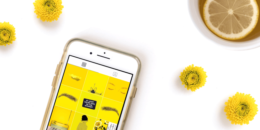 How To Change Your Instagram Theme The Easy Way Tailwind App how-to-change-your-instagram-theme-the-easy-way-tailwind-app