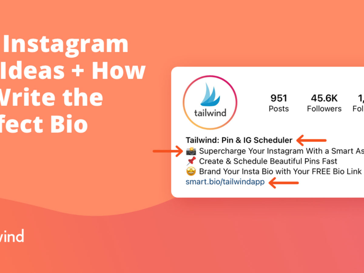 19 Instagram Bio Ideas + How to Write the Perfect Bio  Tailwind App