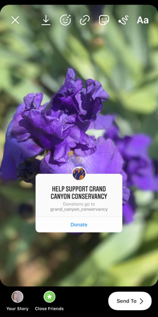 Instagram Stories donate sticker on image of flower
