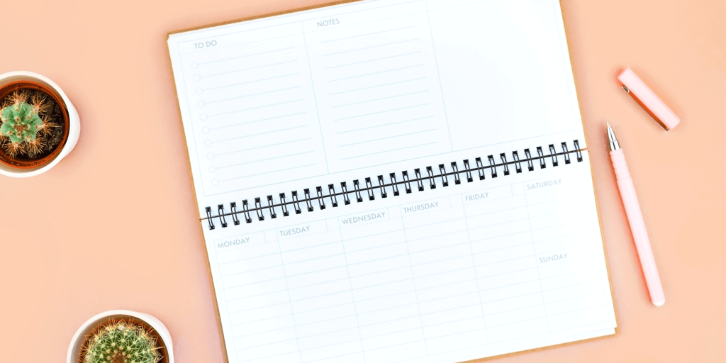 blog header image - daily planner on peach background with cacti