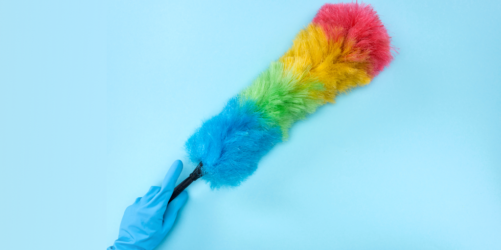 rainbow feather duster on blue background header image