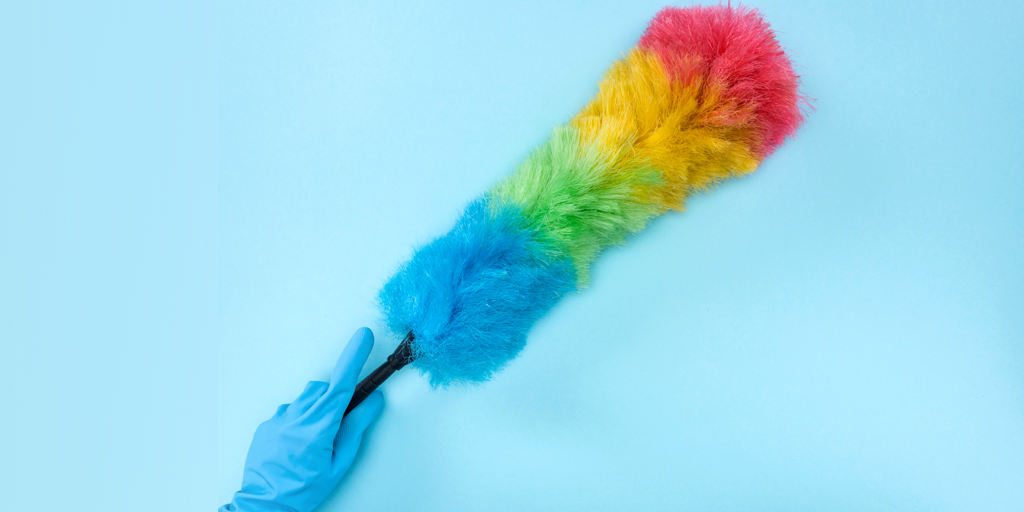 rainbow feather duster on blue background header image.