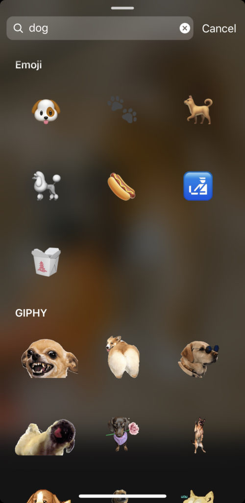 Instagram Sticker Tray - searching for Gifs and emojis