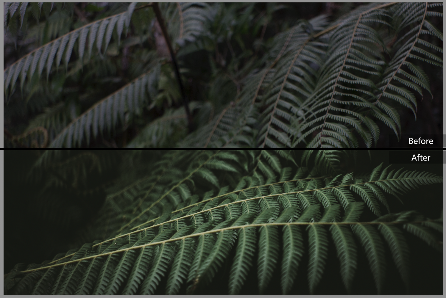 adjusting saturation, vibrancy and HSL.