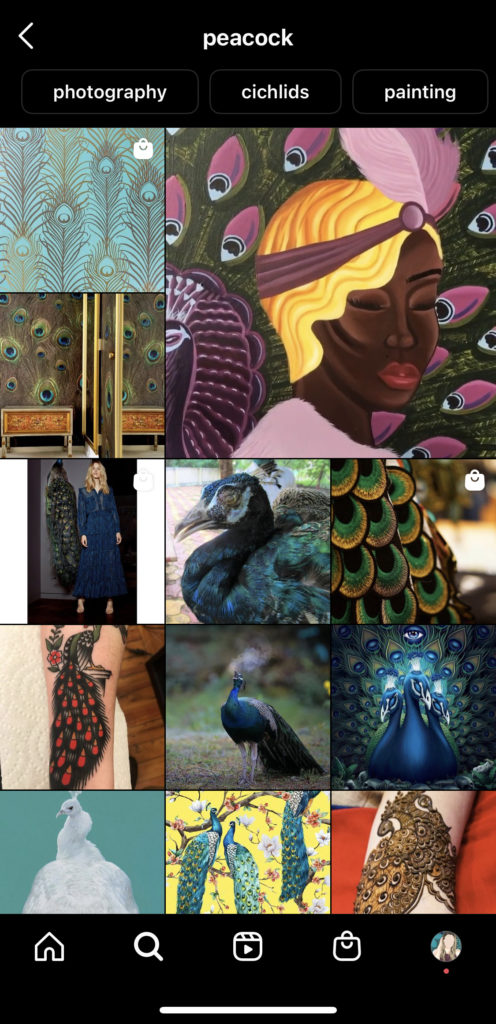 Peacock search term on Instagram