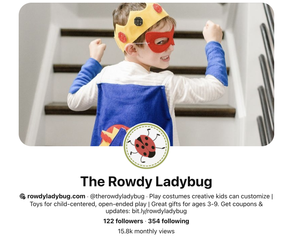 Jane Caldwell The Rowdy Ladybug  Pinterest screenshot