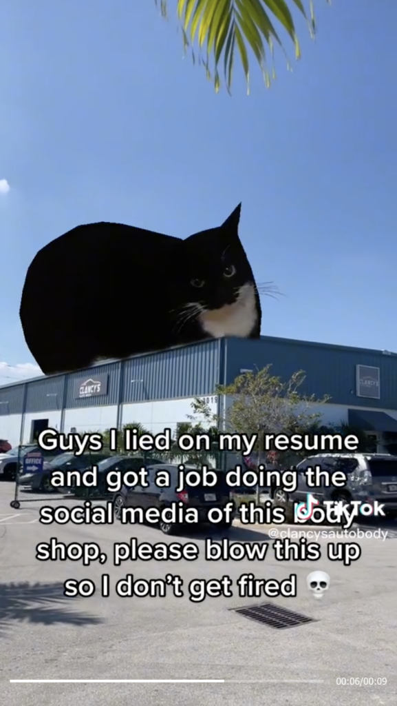 Clancys Auto Body TikTok example; picture of autobody shop with Maxwell the cat on the roof